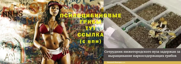 винт Арсеньев