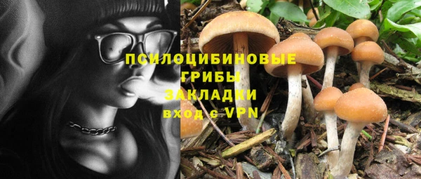 стаф Баксан